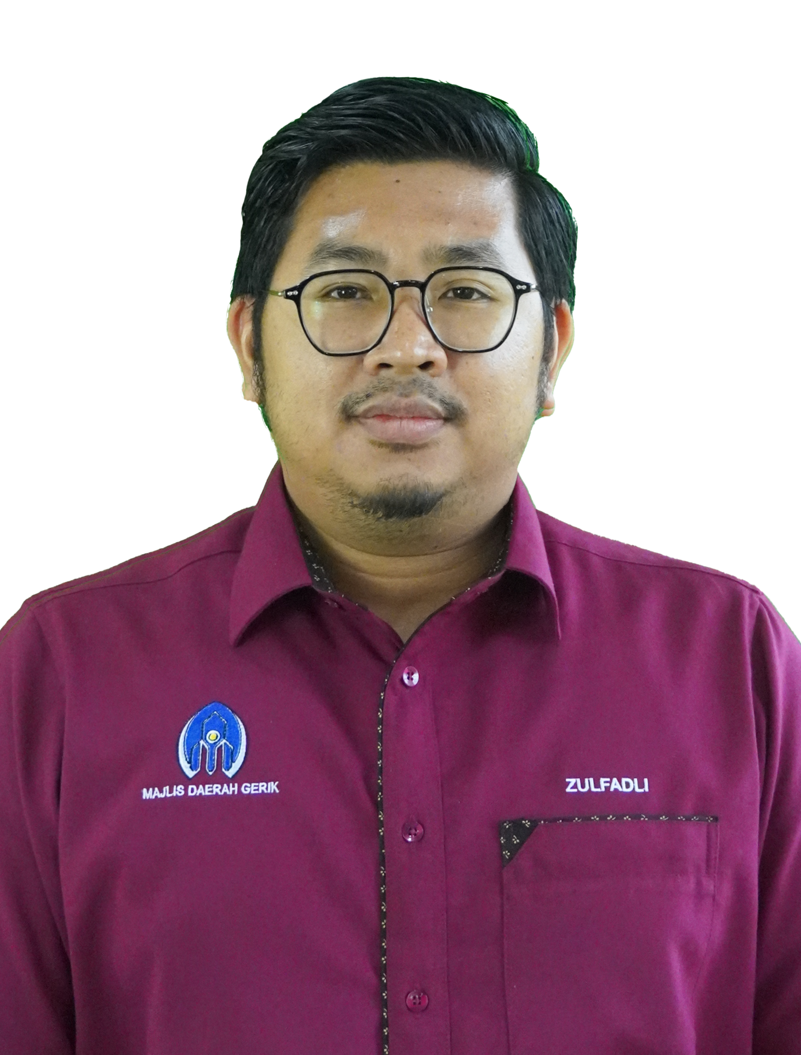 MUHAMMAD ZULFADLI BIN AHAMAD