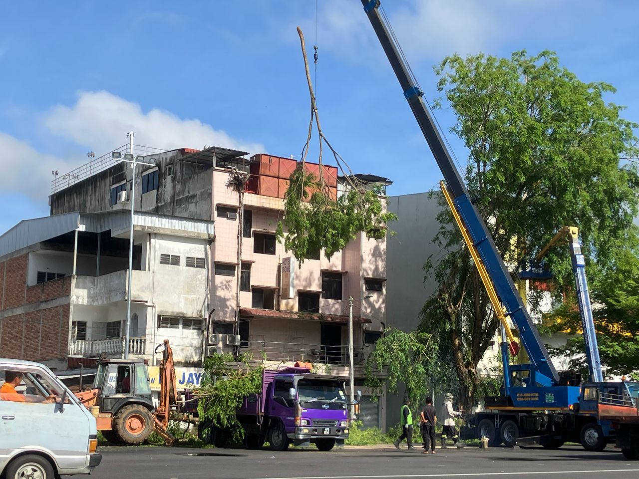 KERJA-KERJA PENYELENGGARAAN POKOK-POKOK DI SEKITAR BANDAR GERIK ( JALAN NEGERI ), MAJLIS DAERAH GERIK, 2025